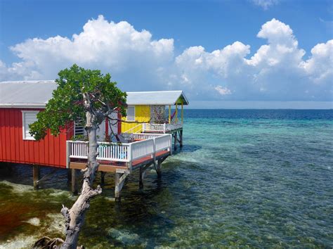 tarpon caye